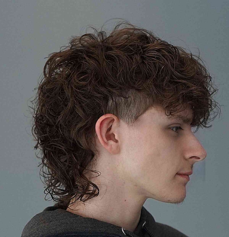 Man with a loose curl mullet haircut showing curly textured top, low fade, medium length.