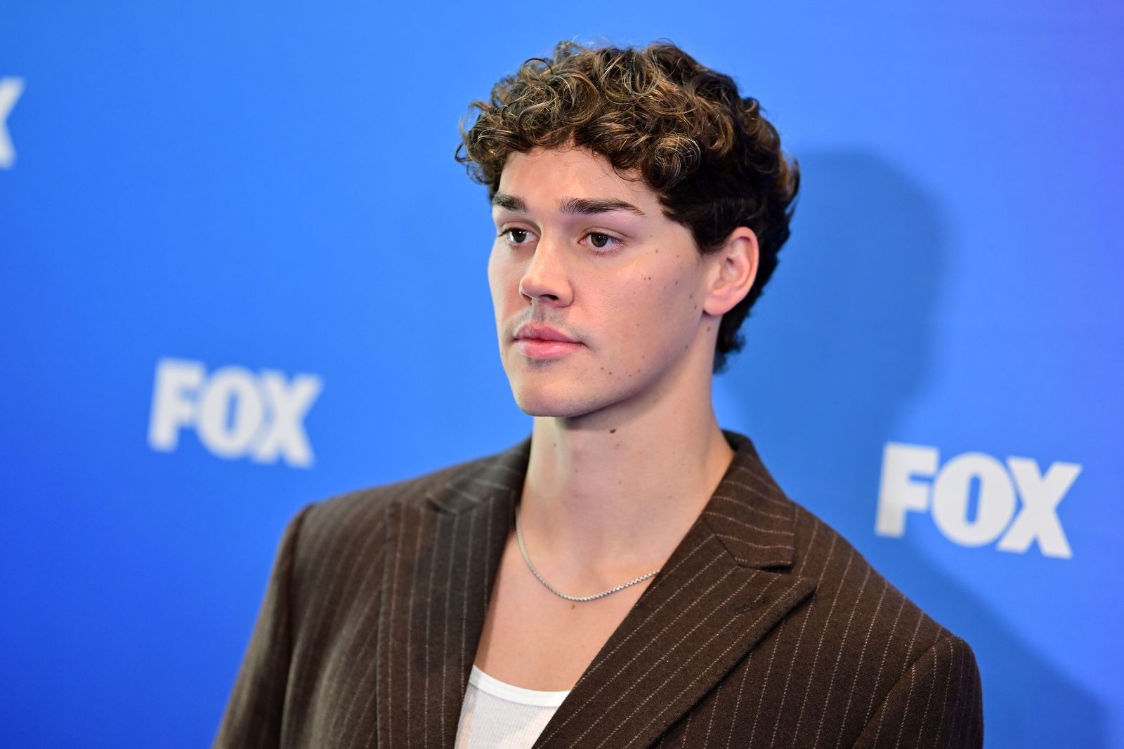 Curly, medium-length hair with volume; tight curls, textured, and a fade on the sides.